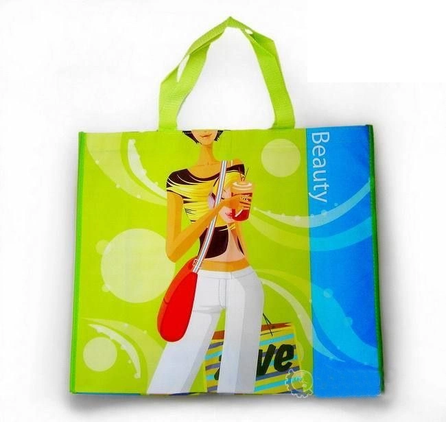 Cheapest Biodegradable Printed Non Woven Laminated Shopping Tote Bag with Flower and Stripe for Clothes